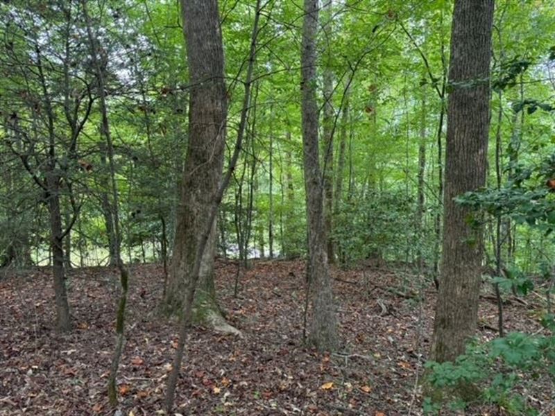 1.10 Acres On Autumn Leaves Way : Marietta : Greenville County : South Carolina