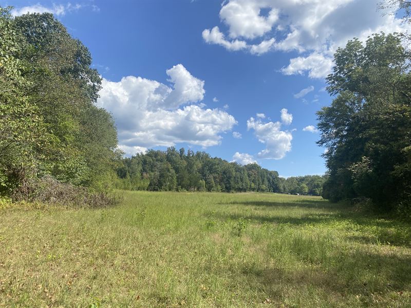 Land for Sale in Tn, Creek, Hunting : Waynesboro : Wayne County : Tennessee