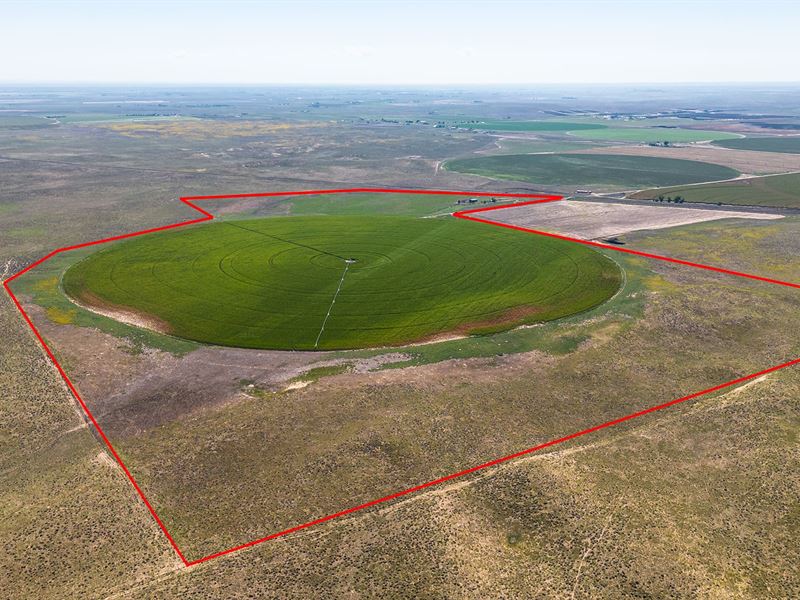 Wiggins, Colorado 216 Acres Land : Roggen : Weld County : Colorado