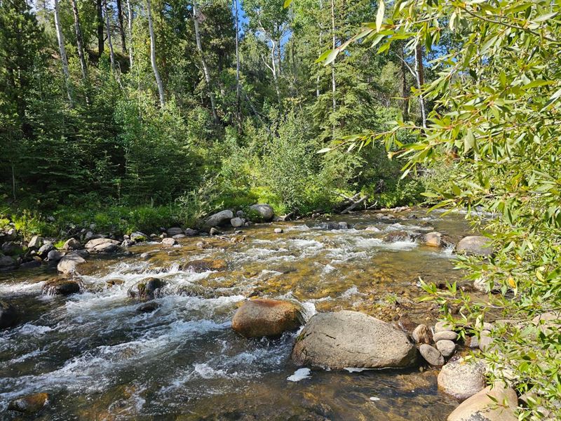 Salida Colorado Riverfront Lot 1903 : Salida : Chaffee County : Colorado