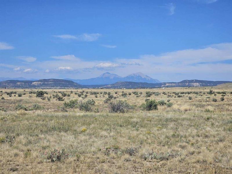 23 Black Hills Ranch : Trinidad : Las Animas County : Colorado