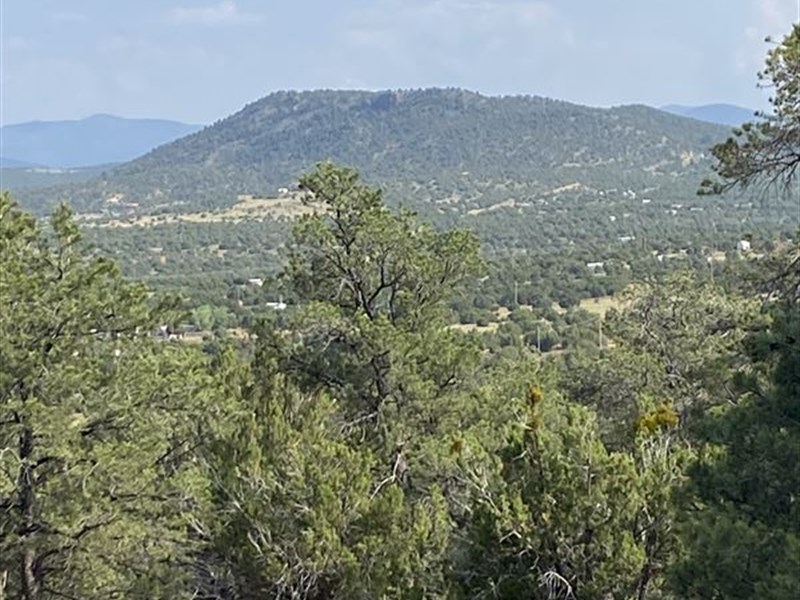 1.13 Acre Paradise for Only $225/Mo : Concho : Apache County : Arizona