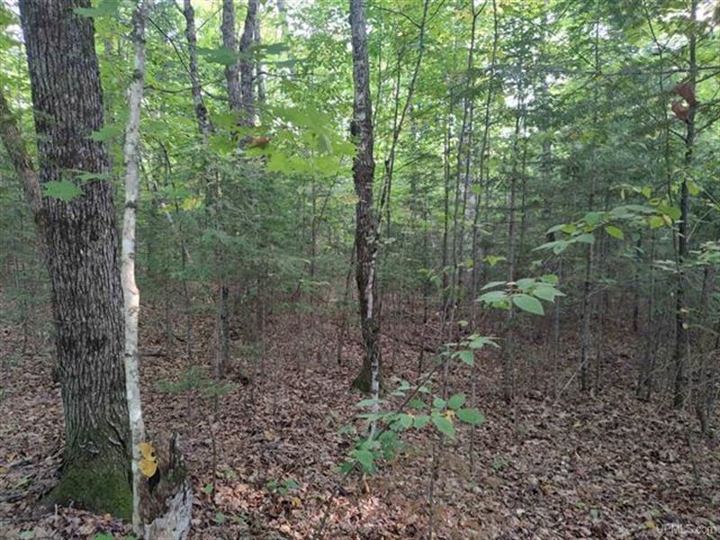 Wooded Parcel in Spurr Twp : Michigamme : Baraga County : Michigan