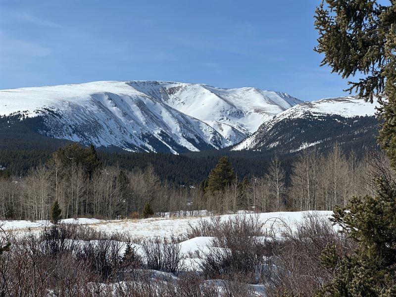 46.97 Acres in Fairplay, Colorado : Fairplay : Park County : Colorado