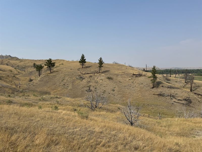 20 Acres in Winnett, Montana : Winnett : Petroleum County : Montana