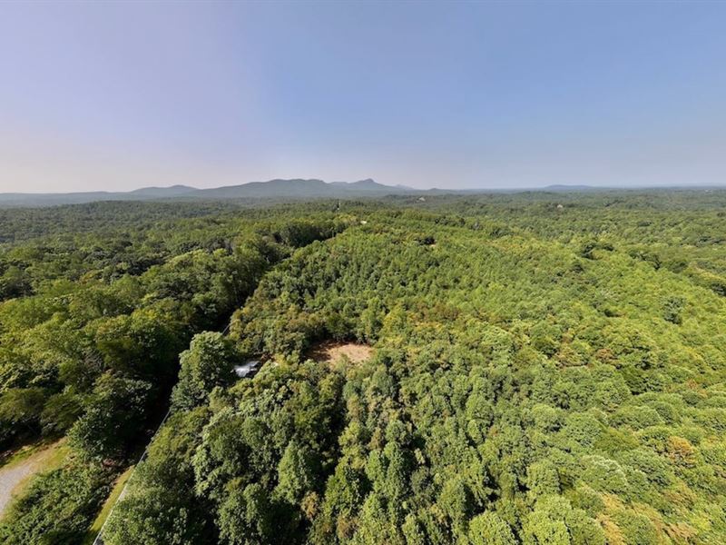 Updated, 24.18 Acres of Multi-Use : Danbury : Stokes County : North Carolina