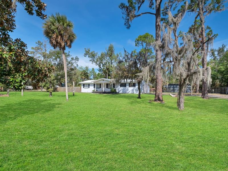 Brick Home on 1 Acre : Perry : Taylor County : Florida