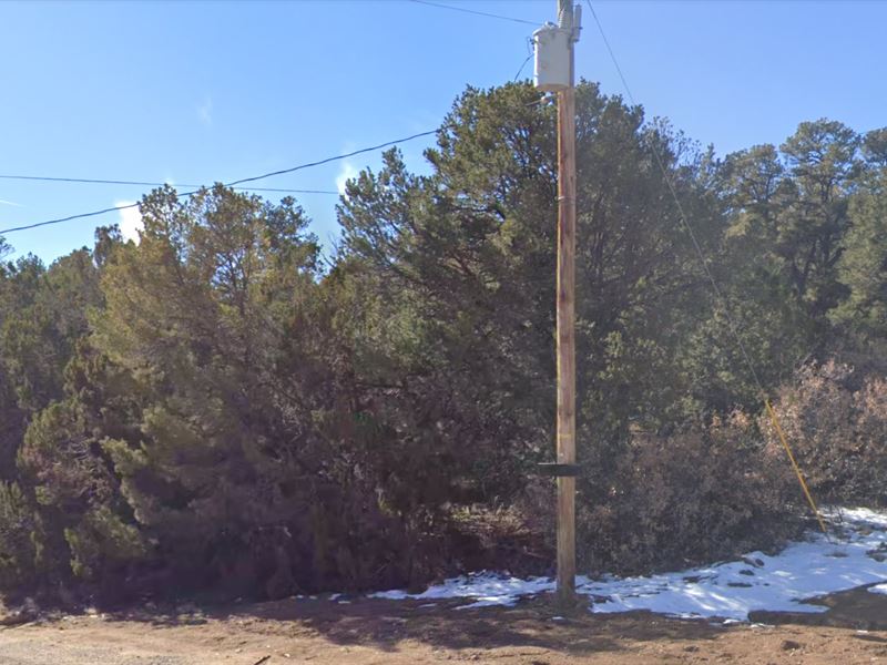 Corner Lot with Electric : Edgewood : Torrance County : New Mexico