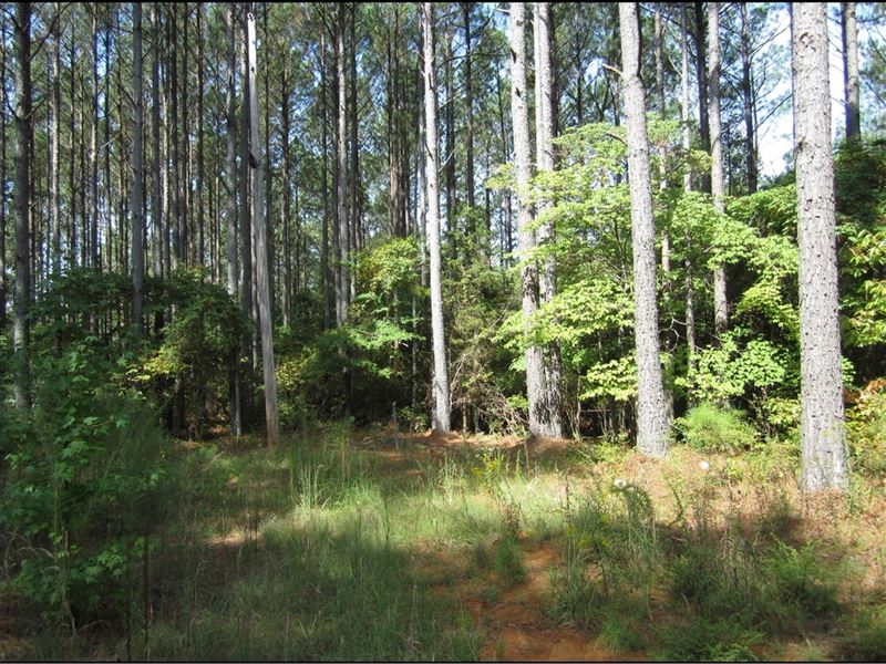 The Woodlands-River Trace Lot 31 : Iuka : Tishomingo County : Mississippi