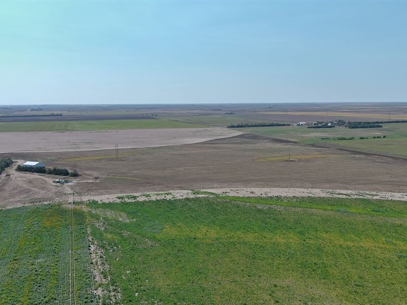 Moore Irrigated Farm : Gurley : Cheyenne County : Nebraska