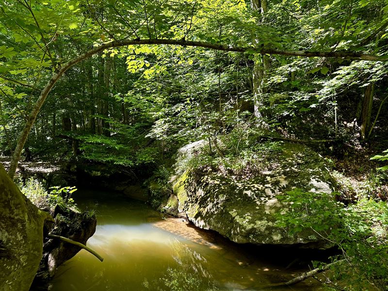 Stone Wall Creek : Patriot : Gallia County : Ohio