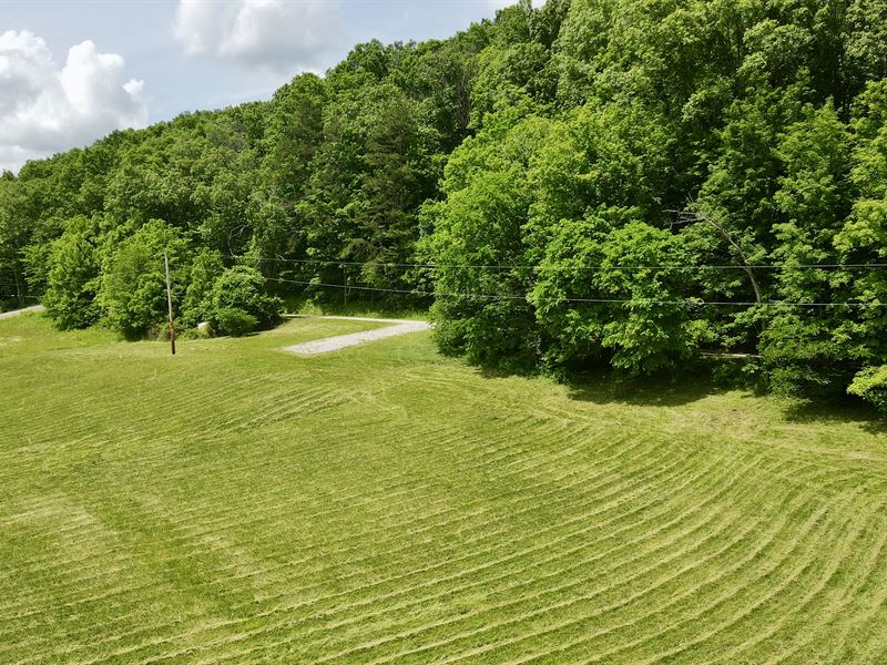 Tract 2, Wayne National Forest : Patriot : Gallia County : Ohio