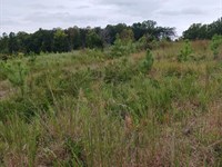 Beautiful Tract : Farmville : Prince Edward County : Virginia