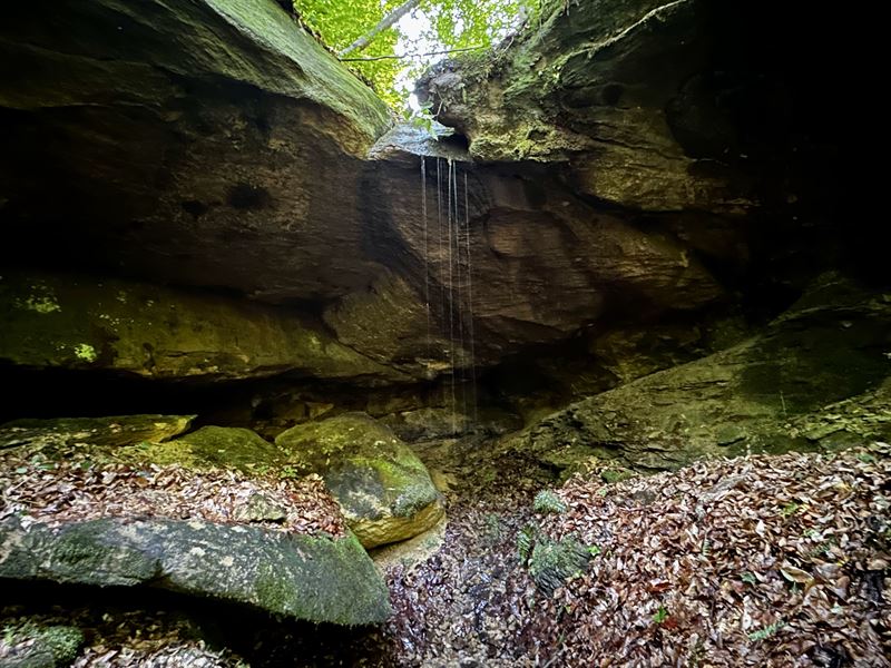 Barns & Caves Wayne National Forest : Patriot : Gallia County : Ohio