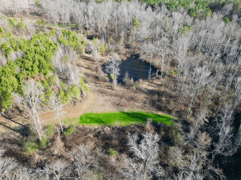 Small Hunting Property in Jefferson : Fayette : Jefferson County : Mississippi