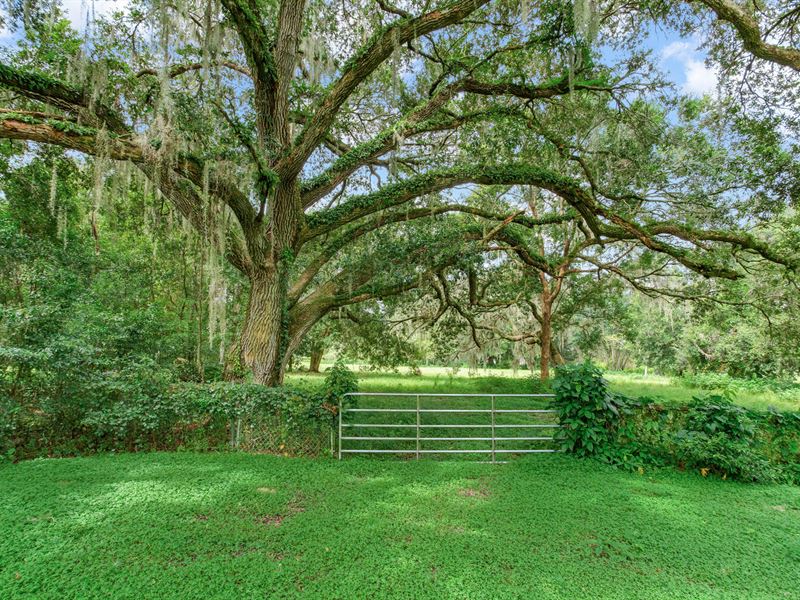 Pierce Harwell Road Rural Estate : Plant City : Hillsborough County : Florida