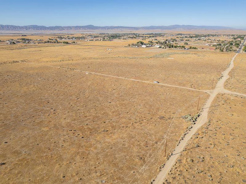 Where Dreams Take Root : Lancaster : Los Angeles County : California