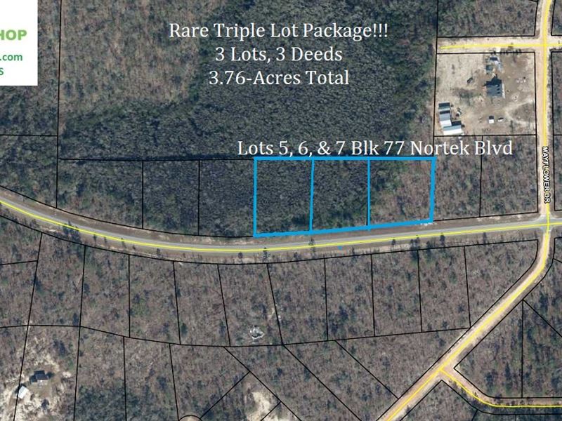 Triple Lot Package : Marianna : Jackson County : Florida