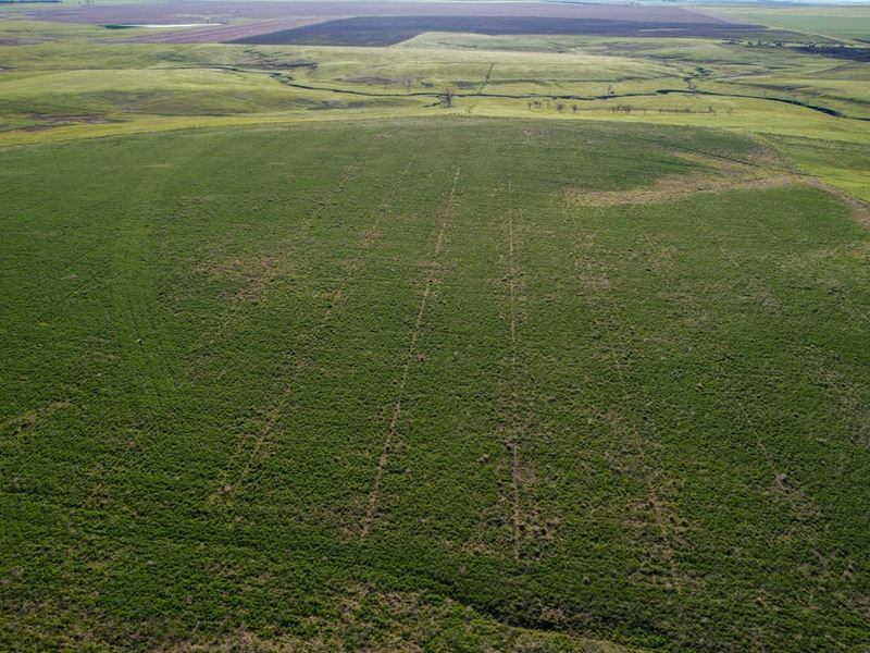 South Lyman Farm : Kennebec : Lyman County : South Dakota