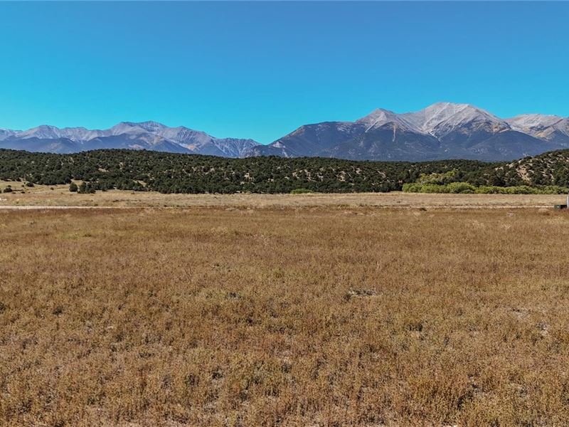 24242 River Meadow Dr : Buena Vista : Chaffee County : Colorado