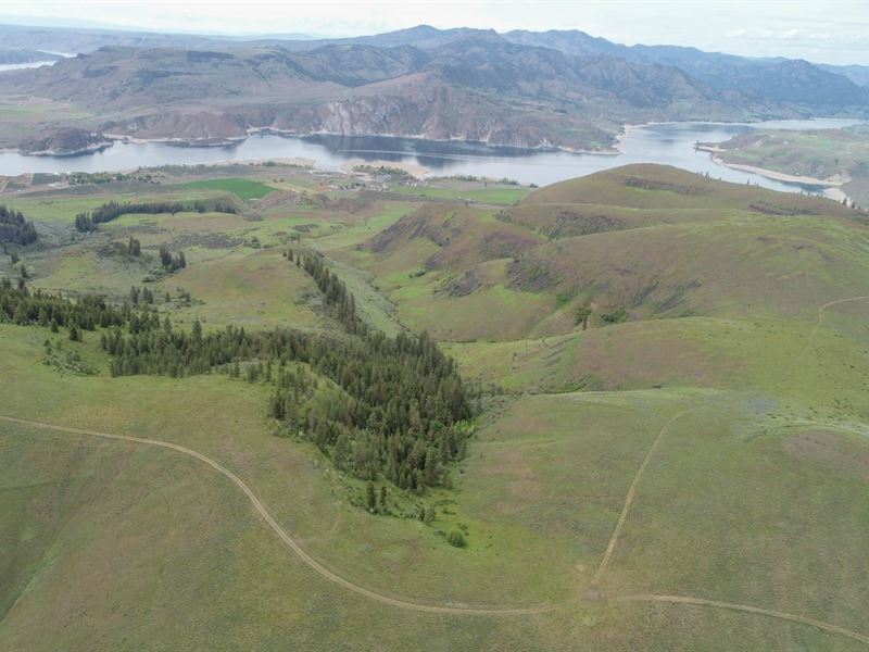 Ring Pasture : Wilbur : Lincoln County : Washington