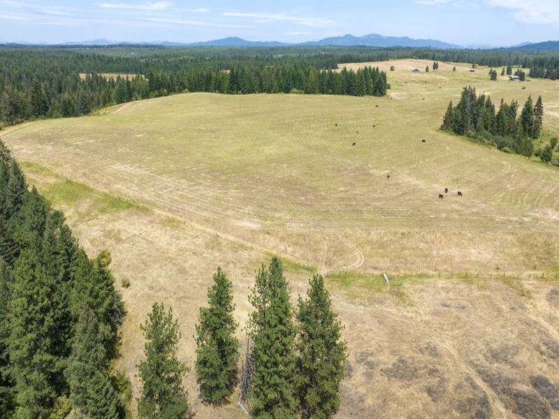 Rocking J Ranch, Parcels 14 & 15 : Weippe : Clearwater County : Idaho