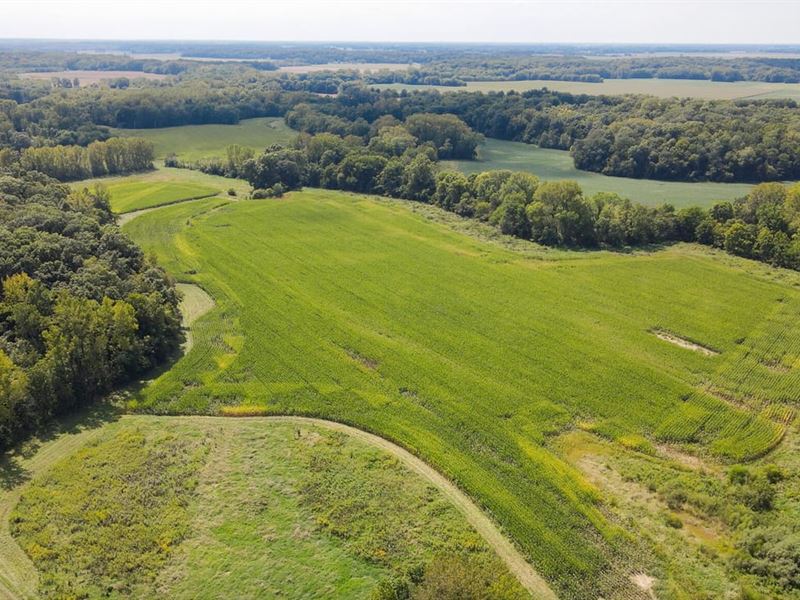 Tillable, Mature Timber, and Crp LA : Greenup : Cumberland County : Illinois