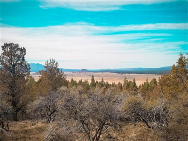 Feeling Tiny Home-Ish : Sprague River : Klamath County : Oregon