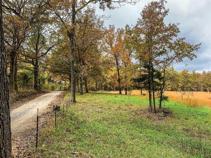 Ozarks Hunting Retreat Near River : Tecumseh : Ozark County : Missouri