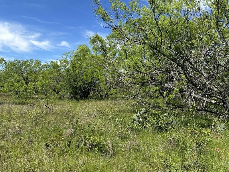 Almost 2 Acres in Luling : Luling : Caldwell County : Texas