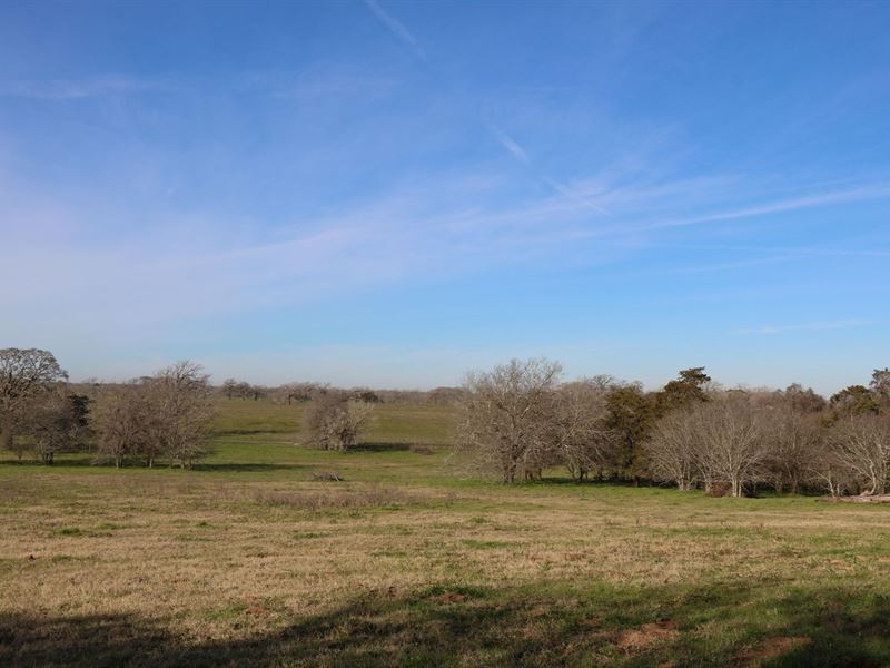 1.23 Ac in Caldwell County, Texas : Luling : Caldwell County : Texas