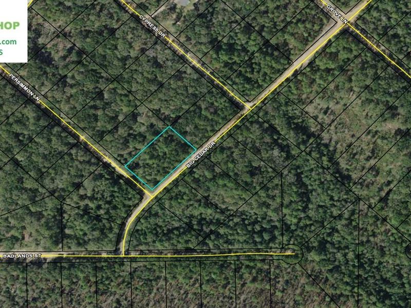 Corner Lot in Compass Lake : Marianna : Jackson County : Florida