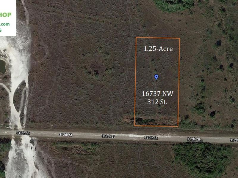 1.25 Acres of Cleared Land : Okeechobee : Okeechobee County : Florida