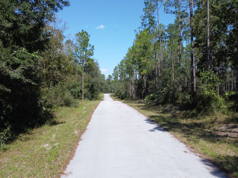 .25 Acre in Marion County, FL : Dunnellon : Marion County : Florida