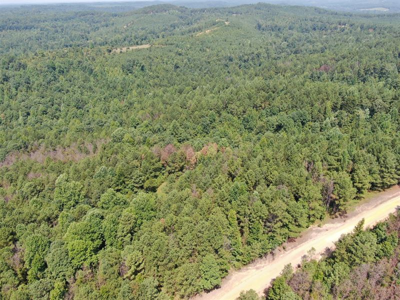 13.5 Acres in Tuscaloosa County : Moores Bridge : Tuscaloosa County : Alabama