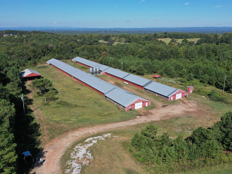 Go Gold Broiler Farm : Woodland : Randolph County : Alabama