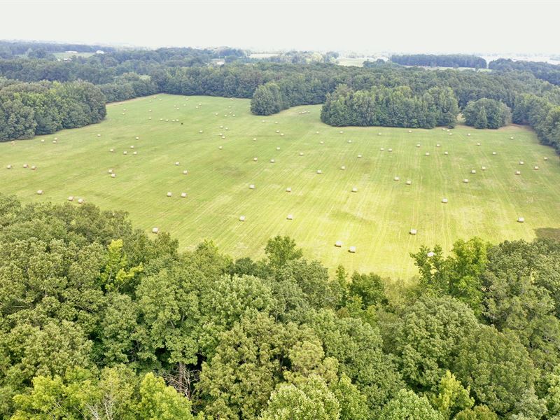 70 Acre Farm Lawrence County : Hillsboro : Lawrence County : Alabama