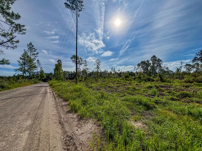 9 Ac Home Site Mini Farm Lot Near : Bonifay : Washington County : Florida