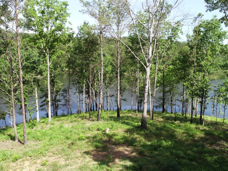 4.23 Ac on Sawtooth Branch Lake : Clanton : Chilton County : Alabama