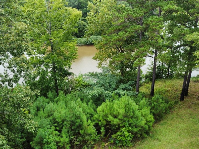 Lake Harding Waterfront Lot : Valley : Lee County : Alabama