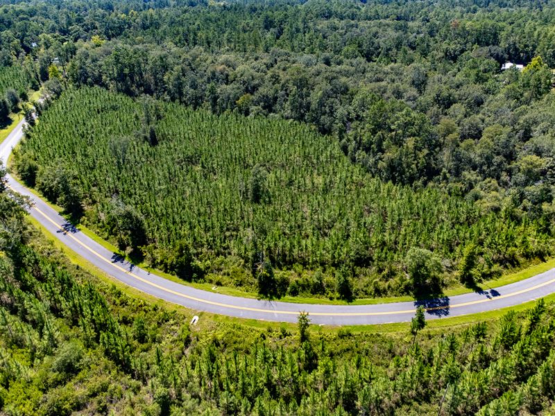 8 Ac Homesite Near Hosford, Fl, Pl : Hosford : Liberty County : Florida