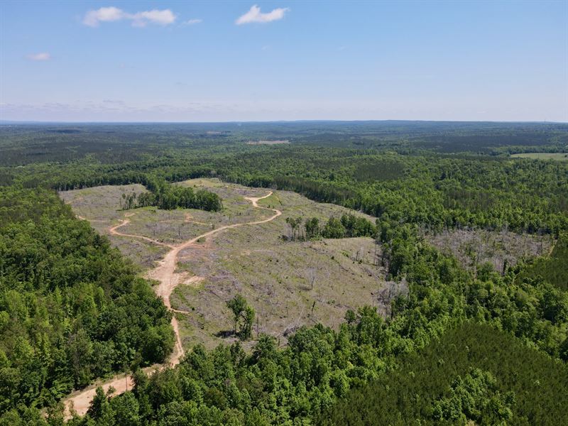 Broughton Ridge 85 ac : Wadley : Randolph County : Alabama