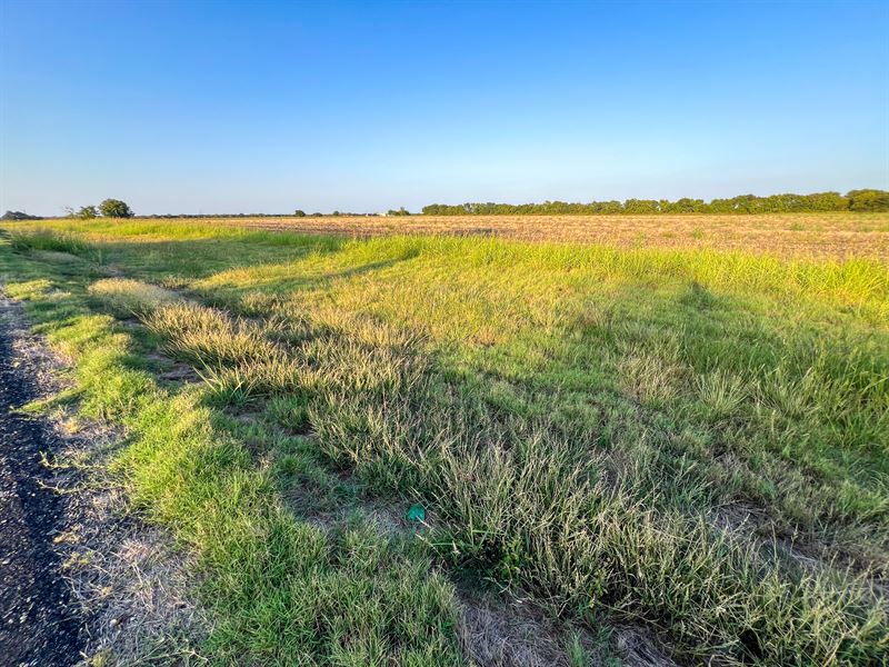 Pasture and Ranch Land in NE TX : Roxton : Lamar County : Texas