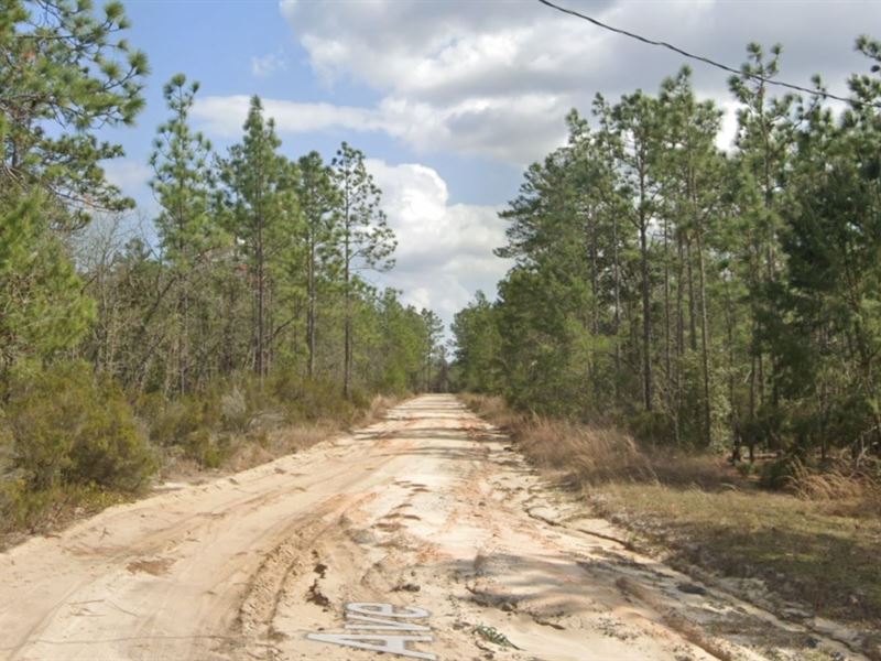 Nice Residential Land in FL : Interlachen : Putnam County : Florida