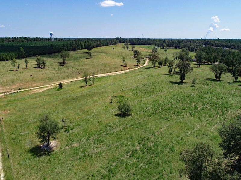 91 Acre Cattle Farm : Hephzibah : Richmond County : Georgia