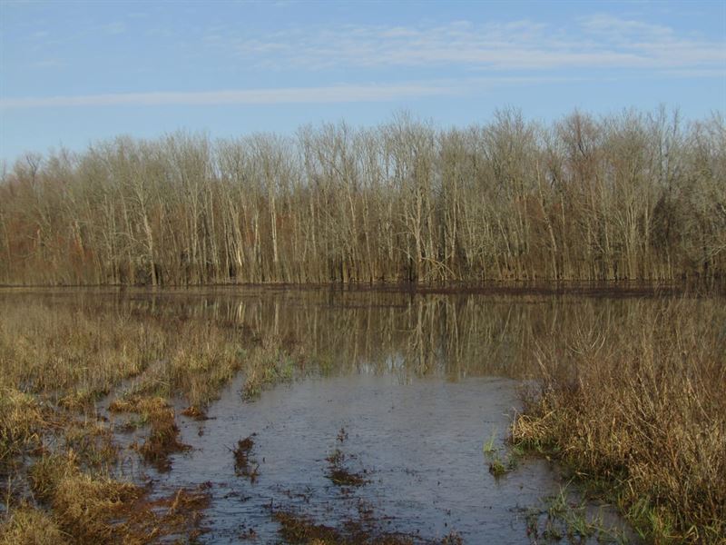 Waterfowl, Recreation, Farming Prop : Idabel : McCurtain County : Oklahoma