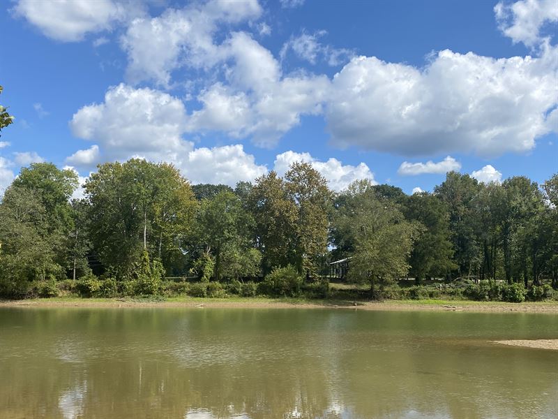 Waterfront Lot for Sale in Savannah : Savannah : Hardin County : Tennessee