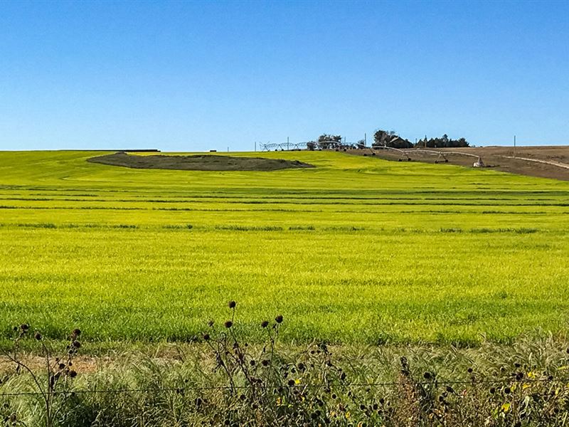 Cross Creek Pivots : Lyman : Scotts Bluff County : Nebraska