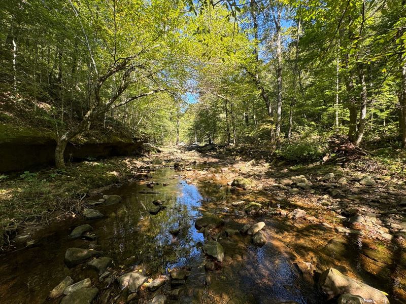 198 Acres on Sugar Camp Creek : Prim : Cleburne County : Arkansas