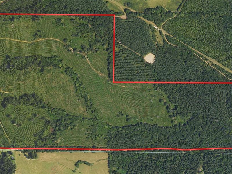 Old Henry, 241 Acres : Prairie : Chickasaw County : Mississippi